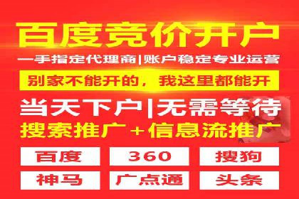 SEM广告投放策略：成功案例解析